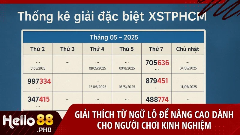 Các thuật ngữ nâng cao giúp người chơi lâu năm phân tích sâu và tối ưu hóa chiến thuật cược lô đề