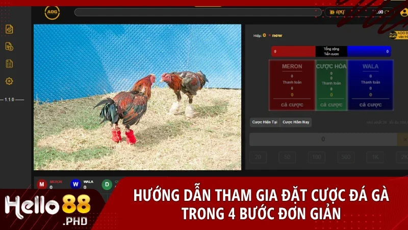 Tham gia đá gà trực tiếp chỉ với vài thao tác đơn giản trên Hello88