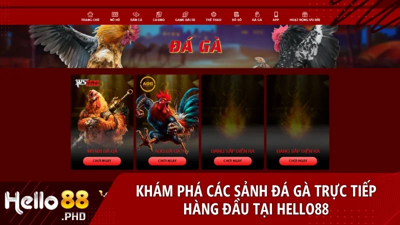 Hello88 mang đến không gian cược sôi động từ Thomo đến Philippines với hàng trăm trận đấu mỗi ngày