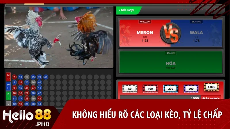 Không hiểu kèo cược khiến bạn dễ chọn nhầm cửa và nhận về kết quả thất vọng
