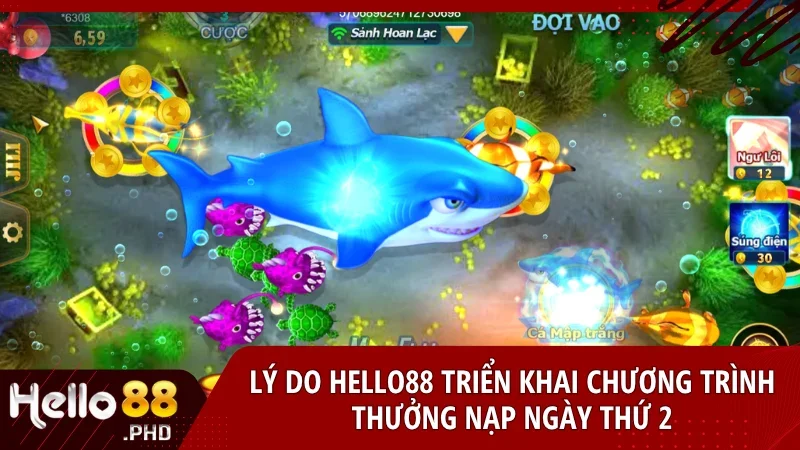 Hello88 chú trọng chăm sóc người chơi mới bằng chuỗi ưu đãi thiết thực từng ngày