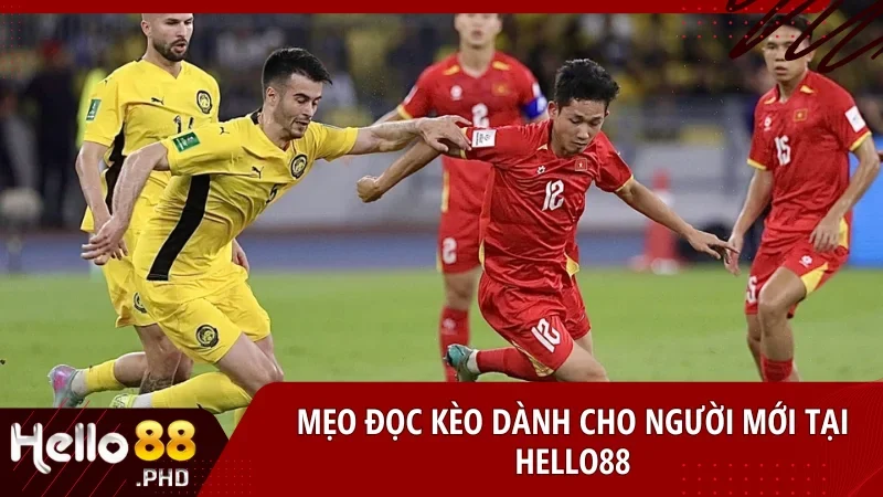 Những mẹo đơn giản nhưng hiệu quả giúp người mới tăng khả năng đọc kèo và hạn chế rủi ro