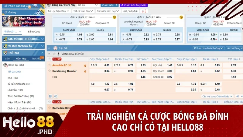 Cảm nhận sự khác biệt với hệ thống cá độ bóng đá Hello88 hiện đại, minh bạch và chiến lược