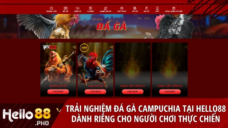 Hello88 mang đến trải nghiệm đá gà Campuchia sống động chân thật và bảo vệ người chơi tuyệt đối